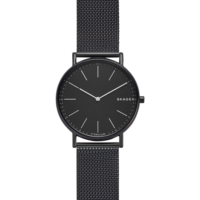 Skagen Signatur Titanium - SKW6484