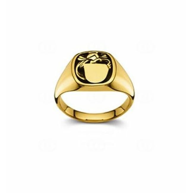 Signet Ring 750/18 K Yellow Gold 12 x 12mm - 1122.02291