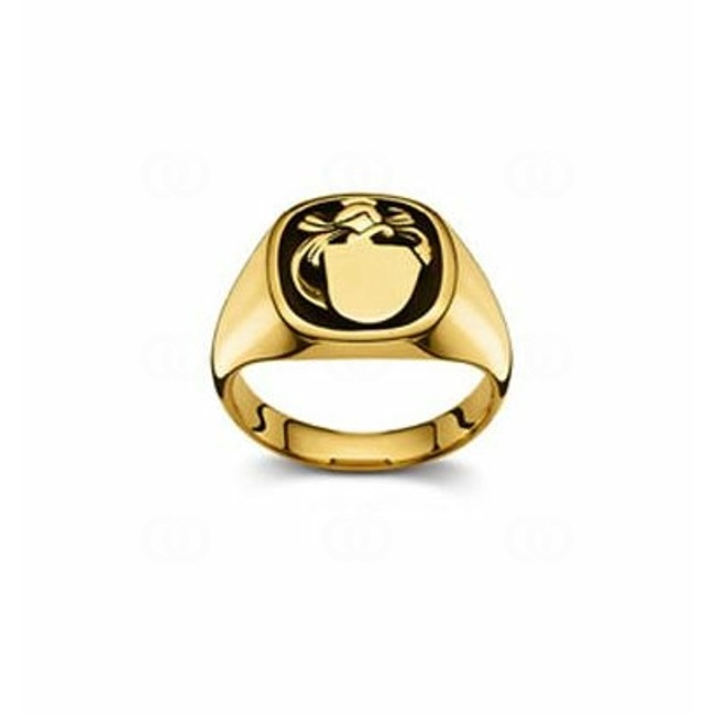 Signet Ring 750/18 K Yellow Gold 13 x 13mm - 1122.02297