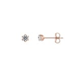 0.20ct Diamond Solitaire Stud Earrings 750/18 K Rose Gold, 6 Prongs