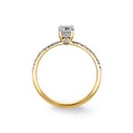 0.50ct Diamonds Pavé Solitaire Ring 750/18 K Yellow Gold - RI-11143-GG
