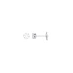 Stud Earrings 750/18 K White Gold with Diamonds 0.25ct. H/p1