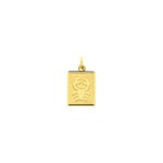 Pendentif or jaune 750/18 ct 12x15mm, Signe du zodiaque Cancer - 73223