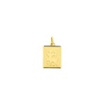 Pendentif or jaune 750/18 ct 12x15mm, Signe du zodiaque Sagittaire