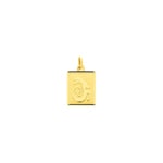 Pendant 750/18 K Yellow Gold Astrological Sign of Capricorn 12x15mm
