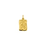 Pendentif or jaune 375/9 ct Signe du zodiaque vierge - 9KAY5012