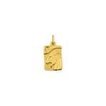 Pendant 375/9 K Yellow Gold Astrological Sign of Leo - 9KAY5007