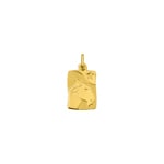 Pendentif or jaune 375/9 ct Signe du zodiaque capricorne - 9KAY5004