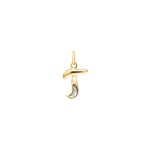 Pendentif or bicolore 750/18 ct avec diamant, Lettre T