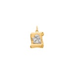 Pendentif or bicolore 750/18 ct 13x14mm, Ange gardien