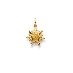 Anhänger 750/18 K Gelbgold, Edelweiss