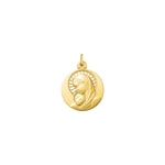 Pendant 750/18 K Yellow Gold Virgin Mary and Child - AY3043