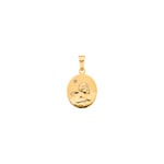 Anhänger 750/18 K Gelbgold mit Diamant, Schutzengel