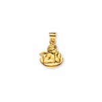 Pendant 750/18 K Yellow Gold, Guardian Angel
