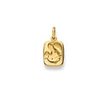 Pendentif or jaune 750/18 ct, Signe du zodiaque Poisson