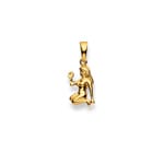Pendentif or jaune 750/18 ct, Signe du zodiaque Vierge - 1154.06017/0090