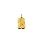 Pendentif or jaune 750/18 ct Signe du zodiaque vierge - AY5012