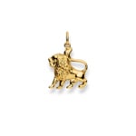 Pendentif or jaune 750/18 ct, Signe du zodiaque Lion - 1154.06020/0080