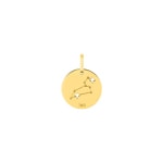 Pendentif or jaune 750/18 ct Signe du zodiaque lion - Version espagnole - E3.7261.0