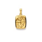 Pendant 750/18 K Yellow Gold, Astrological sign of Sagittarius