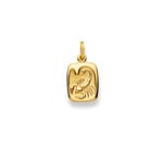 Anhänger 750/18 K Gelbgold, Sternzeichen Skorpion