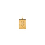 Pendentif or jaune 750/18 ct Signe du zodiaque scorpion - AST1023