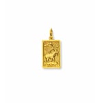Pendant 750/18 K Yellow Gold Astrological Sign of Capricorn