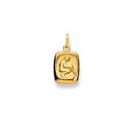 Anhänger 750/18 K Gelbgold, Sternzeichen Wassermann