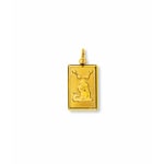 Anhänger 750/18 K Gelbgold, Sternzeichen Wassermann - AST1002