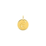 Anhänger 750/18 K Gelbgold Sternzeichen Wassermann - Französische Version - 3.7267.00