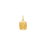 Pendentif or jaune 750/18 ct, Signe du zodiaque Gémeaux