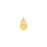 Pendentif or jaune 750/18 ct Goutte avec arbre de vie - 3.7449.00