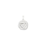 Pendant 750/18 K White Gold, Astrological sign of Pisces