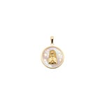 Pendentif ronde or jaune 750/18 ct Vierge marie avec nacre - 627801NC