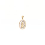 Pendentif ronde or jaune 750/18 ct Vierge marie avec nacre - 627801NC