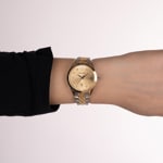 Balmain Classic R Lady Ø 30mm - B4112.31.25