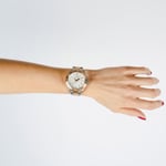 Balmain Ophrys - B4338.33.25