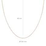Blush Ankerkette 14k Roségold 0.8mm - 3058RGO
