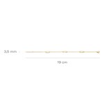 Blush Armband 14k Gelbgold - 2179YGO