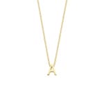 Blush Collier 14k Gelbgold mit Buchstaben-Anhänger A - 3155YGO_A