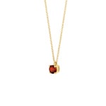 Blush Collier 14k Gelbgold mit Granat - 3200YGA