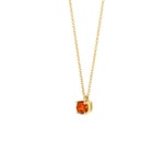 Blush Collier 14k Gelbgold mit Madeira-Citrin - 3200YCI