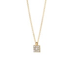 Blush Collier 14k Gelbgold mit Pavé-Zirkonia - 3205YZI
