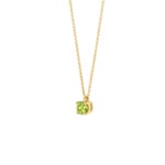 Blush Collier 14k Gelbgold mit Peridot - 3200YGP