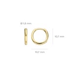 Blush Creolen 14k Gelbgold 10mm - 7232YGO