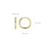 Blush Creolen 14k Gelbgold 11.7mm - 7233YGO