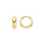 Blush 14ct Gold Charm Hoop Earrings 13.0mm 