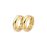 Blush 14ct Gold Charm Hoop Earrings 16.5mm - 7390YGO