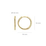 Blush Creolen 14k Gelbgold mit Kordeloptik 14mm - 7286YGO