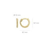 Blush Creolen 14k Gelbgold mit Kordeloptik 9 mm - 7231YGO
